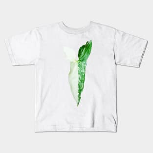 Unique and organic photo of a Syngonium Albo 6 Kids T-Shirt